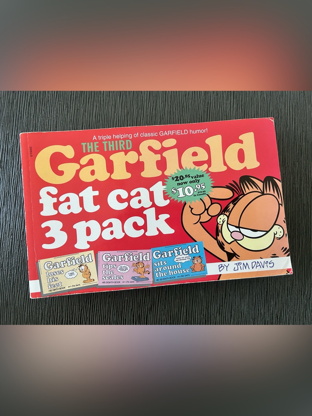 Garfield Fat Cat 3 Pack Comic Book